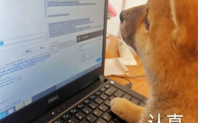 玩电脑玩一会手就会麻（突然手奇痒无比）