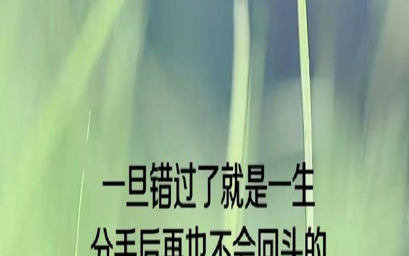 放弃就是放过自己（双鱼女离开就不会回头）