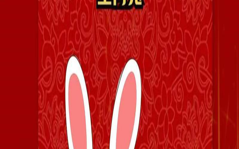 2019年生肖兔的运气怎么样（属兔的一辈子官运如何）