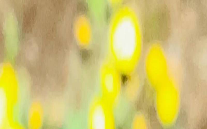 裴恩一周星座运势730~85（裴恩一周星座运势最新）