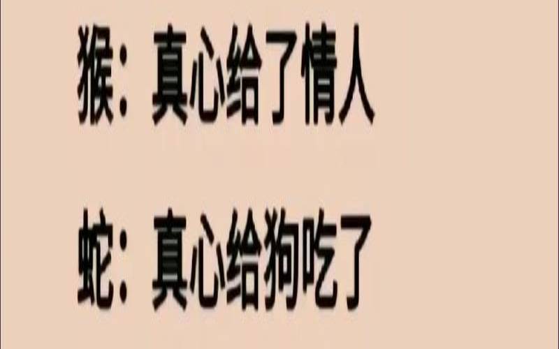 谁最真心爱属兔女人（最宠爱属兔女的生肖）