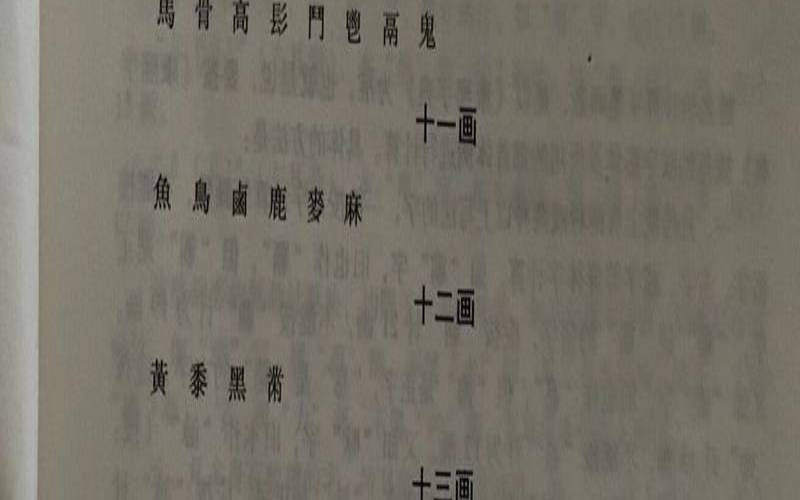 40画的名字是吉还是凶（泽字在康熙字典里多少画）