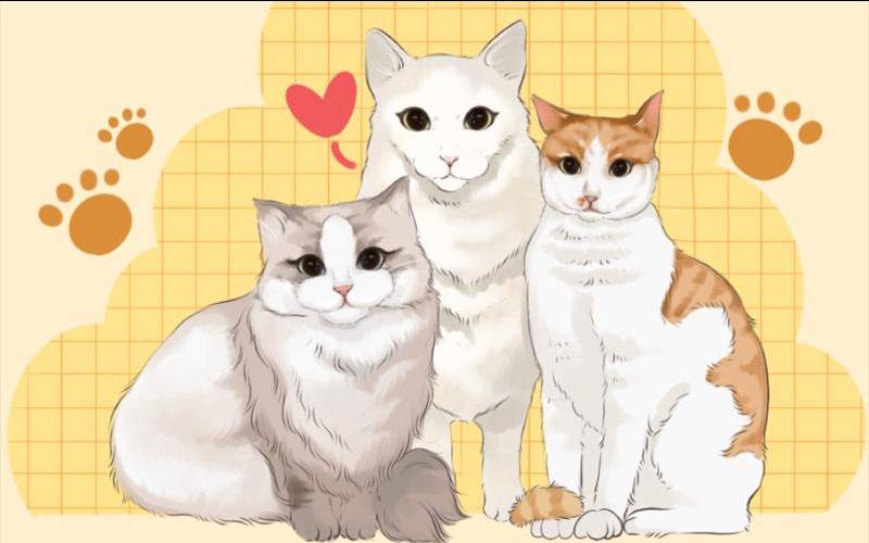 梦见三只猫粘着我（女人梦见不同颜色三只猫）