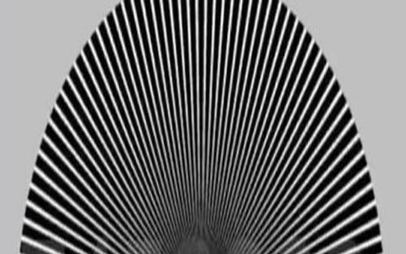 测试你属于哪种聪明人（测试一下你的聪明程度）