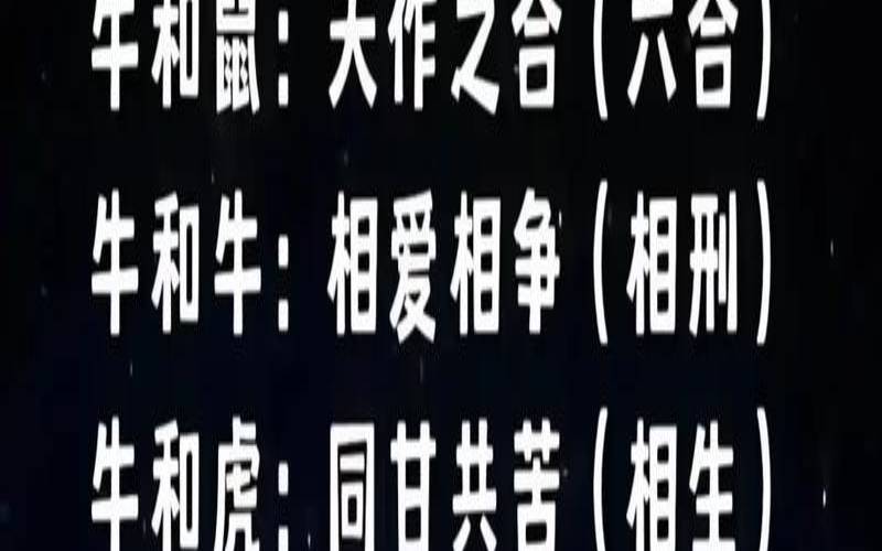 夫妻肖是那几个肖（十二生肖谁是夫妻肖）