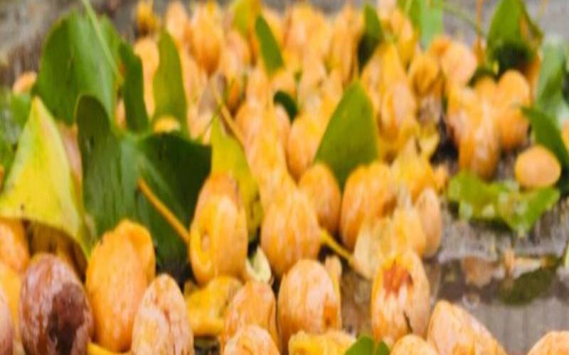 梦见白金首饰（梦见自己捡掉在树下的果子）