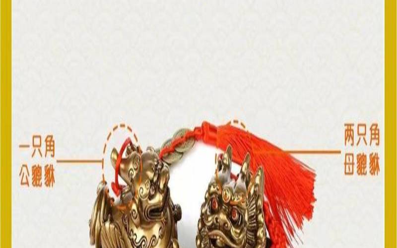 女的戴公貔貅还是女貔貅（正确公母貔貅摆放图片）