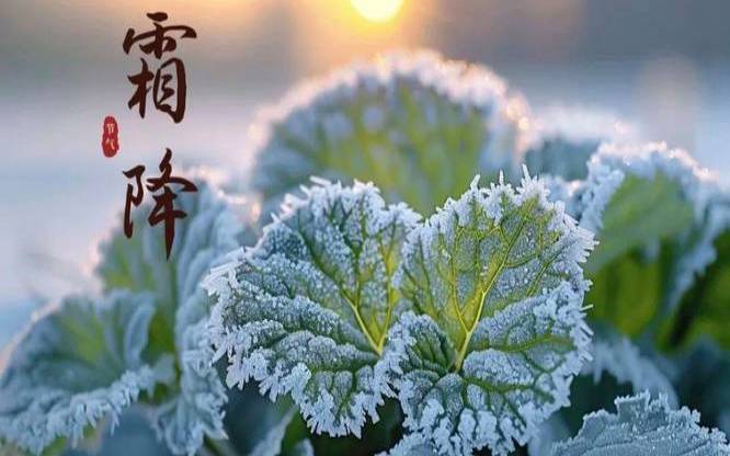 2020鼠年霜降前一天可以出殡吗（2021霜降可以上坟吗）