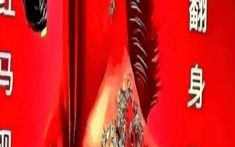 02年属马人注定的婚姻（02年马干什么工作有大成就）