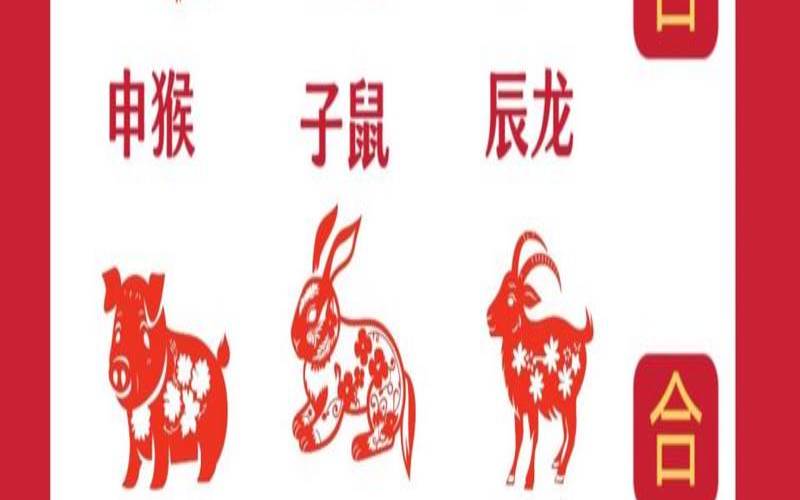 属鼠人为什么怕属鸡女人（男属鸡女属鼠命中注定）