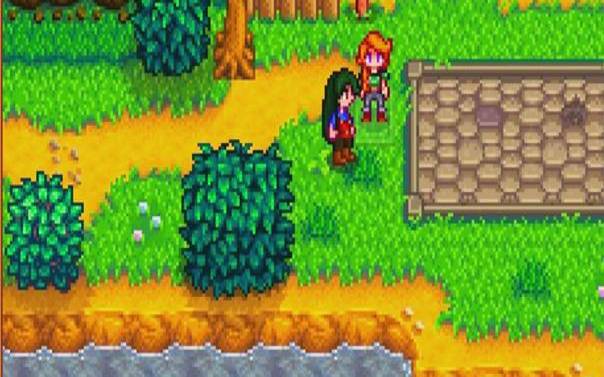 占星小巫塔罗牌（星露谷物语占卜）