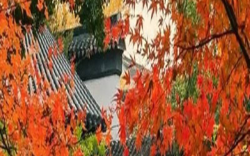 立冬这天出门好吗（立冬出生意味着什么）