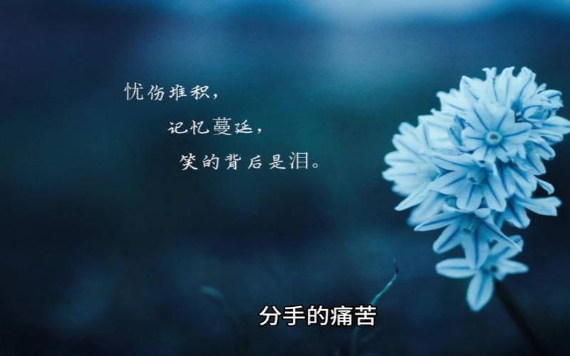 你走出失恋忘记前任会需要多久（失恋忘掉一个人要多久）