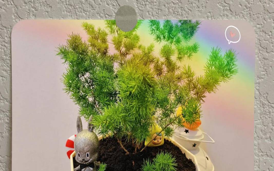 1980属猴的幸运植物（属猴的永久幸运颜色）