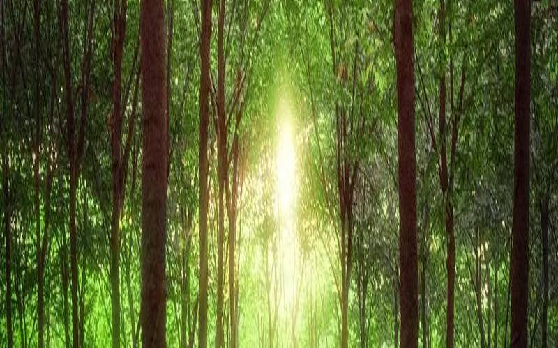 你认为秋天哪里最美（哪些东西代表秋天来了）