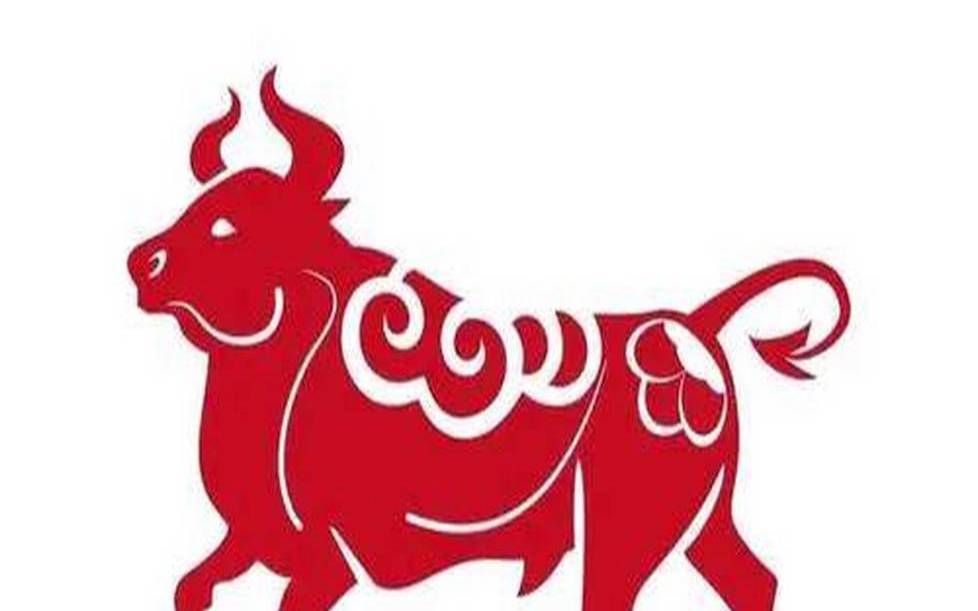 本命年牛可以穿红衣服吗（本命年可以带自己的生肖吗）