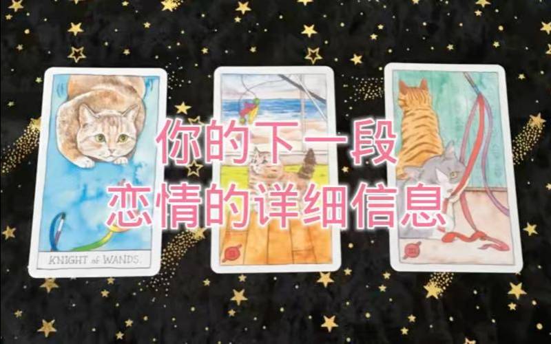 塔罗测试你们的未来（塔罗测你下一段恋爱）