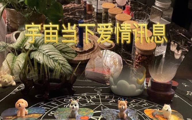 塔罗占卜爱情会成为你的负担么（塔罗占卜爱情运势）