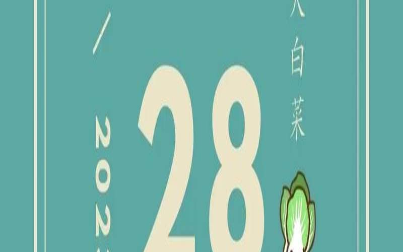 11月28日是什么星座（11月20日是什么星座）