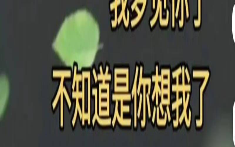 梦到弟弟回来了是什么意思（姐姐梦见自己的亲弟）