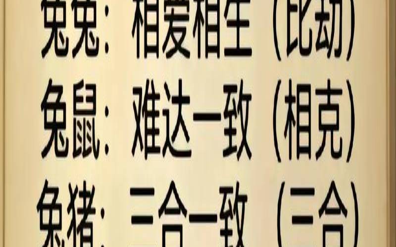 十二生肖不回头的动物（什么生肖不会说话）