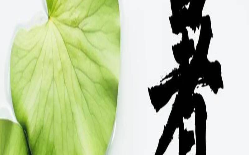 伏天出生的宝宝取小名（大暑出生的乳名）