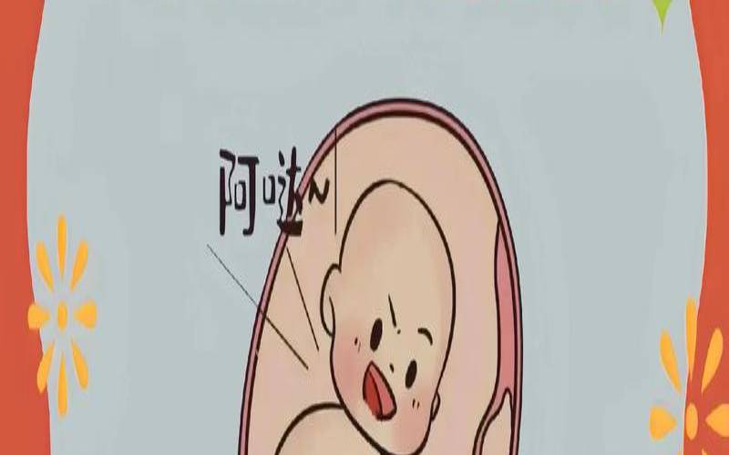 梦到自己怀了个女孩还胎动（怀孕了做梦生了个女儿）