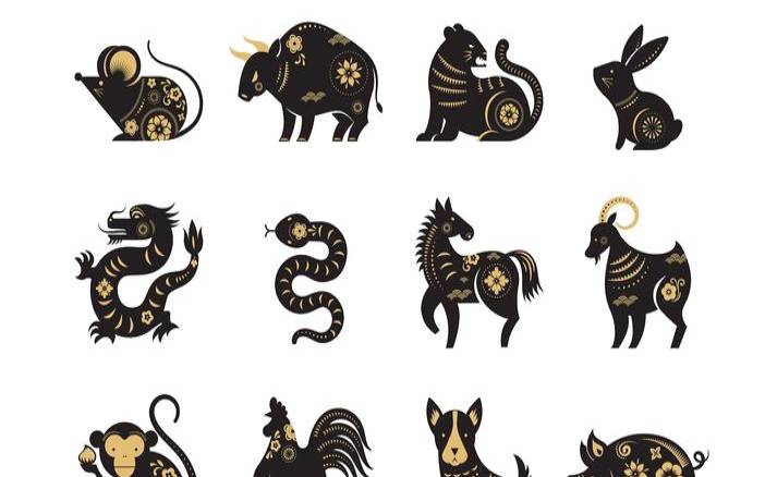 12生肖求财方位（12生肖5个一组不重复有几组）