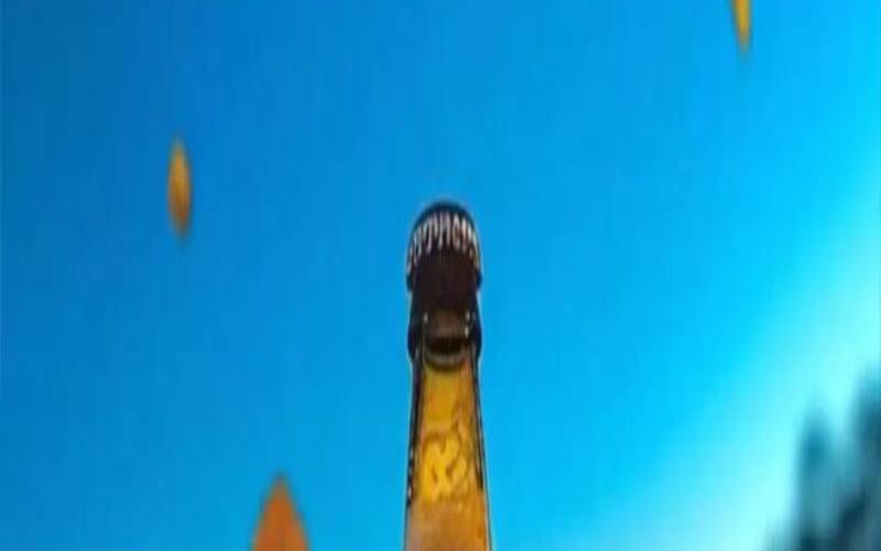 只看过程不看结果（一窍不通最准确的生肖）