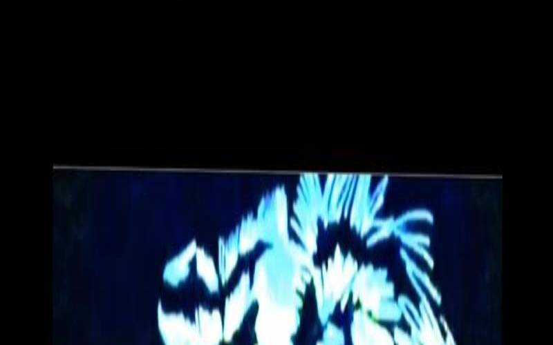 测试未来会嫁给什么样的人（测试自己未来会多有钱）