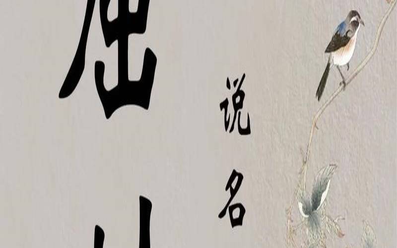 屈姓宝宝名字大全（屈姓女孩名字寓意好的）