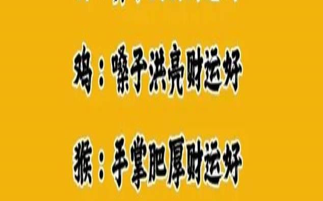 2021年财运测试免费（算财运免费2021）
