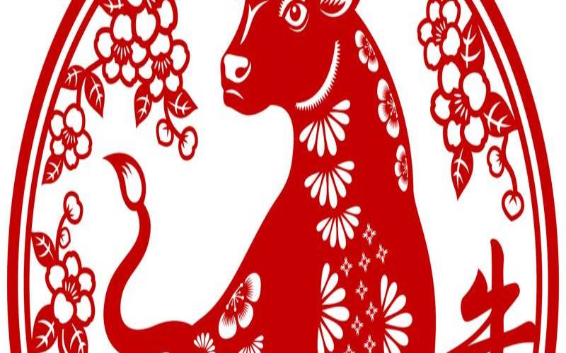 48岁属牛2021年本命年运势（2021年属牛运势）