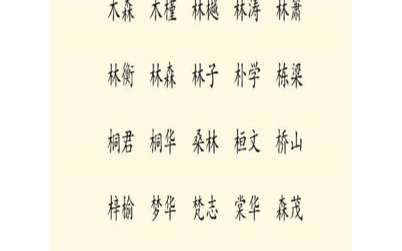 公司名字缺木怎么起名字（五行缺木寓意好的字）