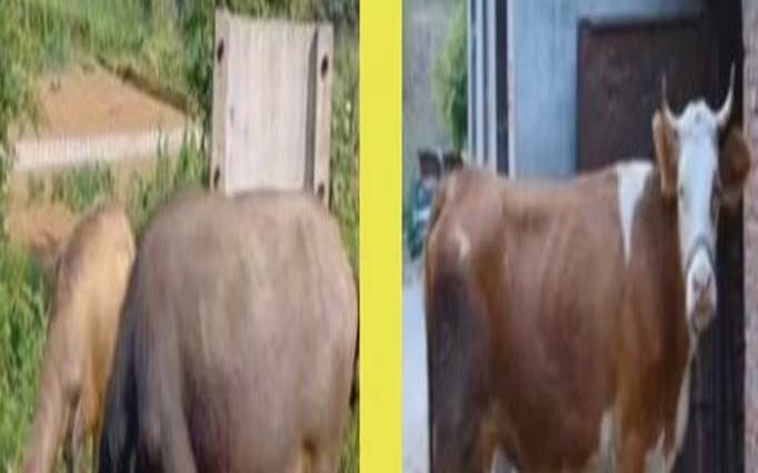 塔罗测试（塔罗测试你的另一半）