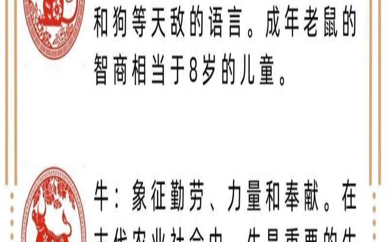 有远见的表现（目光短浅没有远见的生肖）