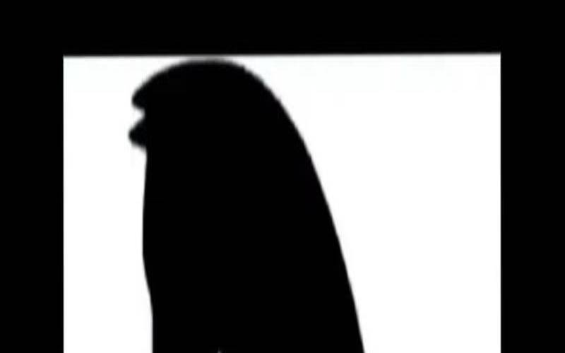 测试你在他心里是个啥（测一测你的真实性格）