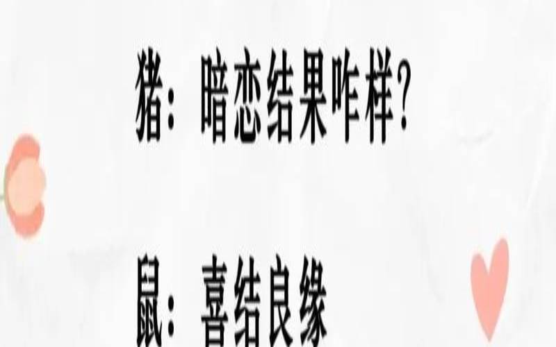 测你倒追成功率有多高（测测你们是否互相暗恋）