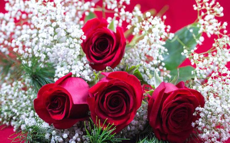 12生肖爱情与婚姻（双子男的爱情软肋在哪）