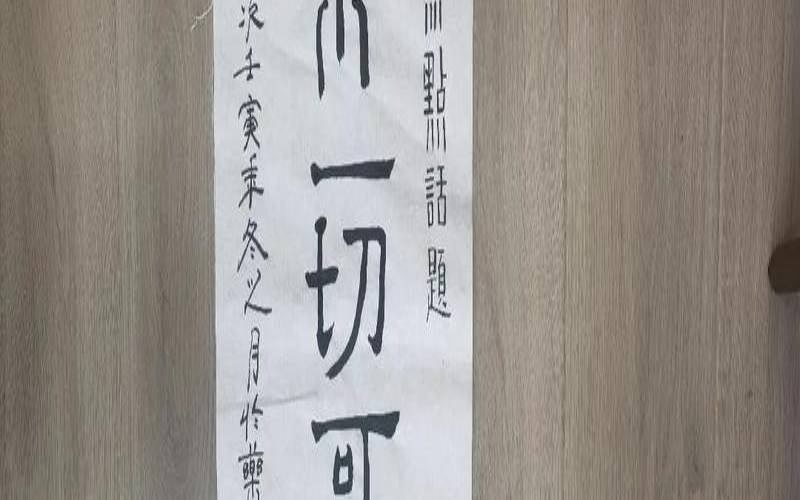 如果能重来十二生肖希望人生是什么剧（如果能重来是什么意思）