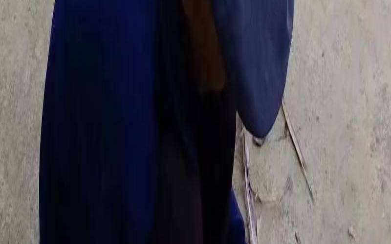 梦见蚕丝（梦见蚕丝裹住身体）