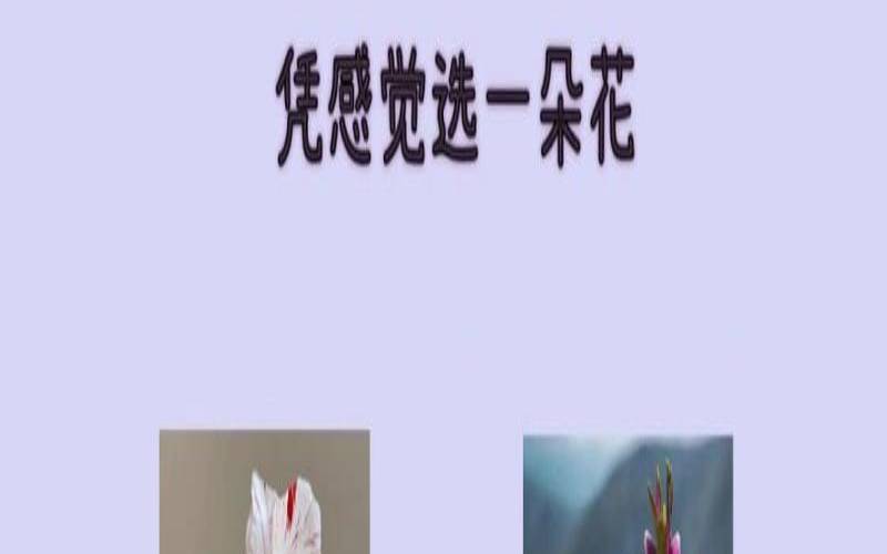 测试你成为狐狸精的指数（测你哪一朵花最好看）