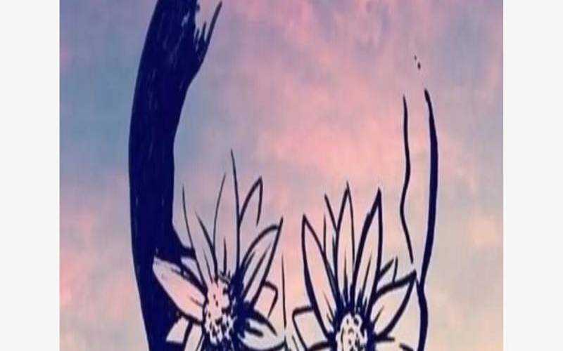 测试别人能看穿你吗（测试你会有几个孩子）