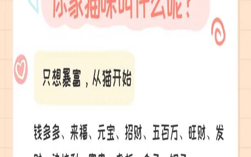 2021年猫咪取名字（什么颜色的猫最旺财）