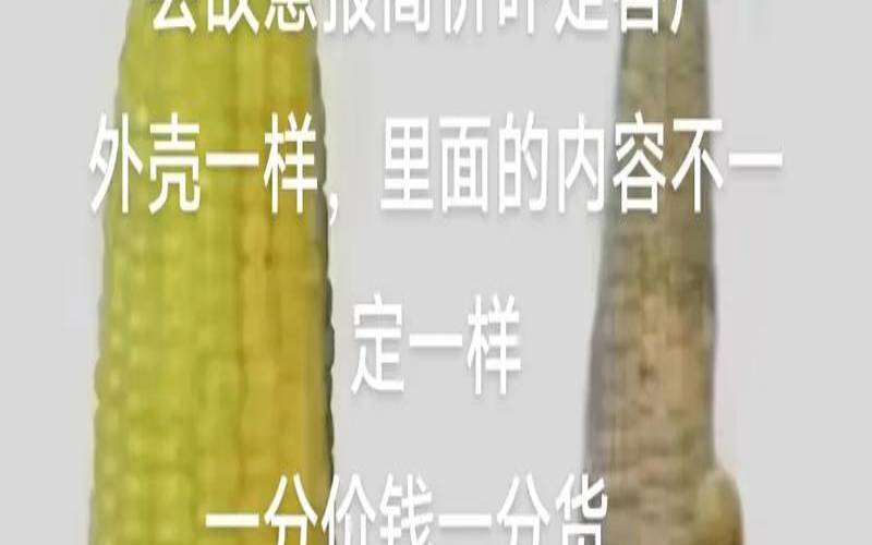 价钱与价格的汉语用法（销售价值而不是价格）