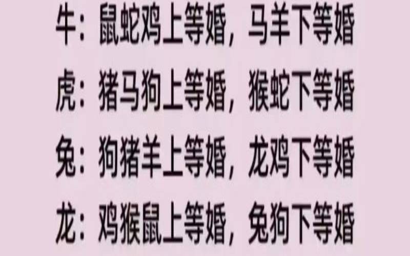 十二生肖如何婚配（十二生肖对待感情的态度）