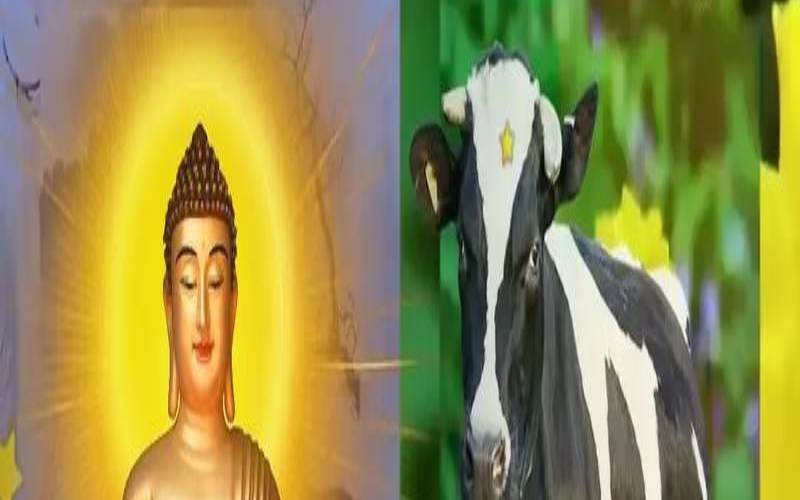 1973年属牛手机尾号什么好（1973属牛吉祥手机号）