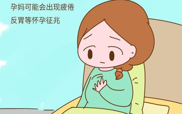 哪些胎梦预示将要怀孕知乎（10个信号暗示你怀孕了）