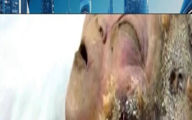 未来是不可控的（想到未来就觉得很恐慌）