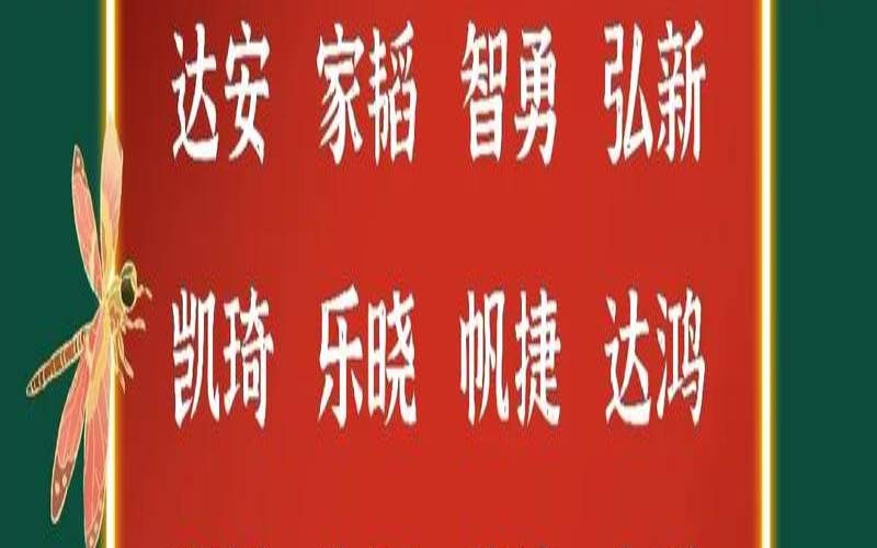 2028男孩名字大全（男孩姓名大全洋气2022）